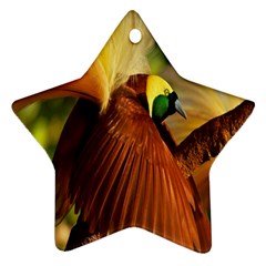 Birds Paradise Cendrawasih Star Ornament (two Sides) by Mariart