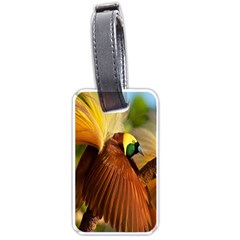 Birds Paradise Cendrawasih Luggage Tags (one Side) 