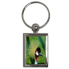 Bird Hairstyle Animals Sexy Beauty Key Chains (rectangle) 