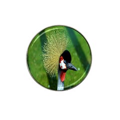 Bird Hairstyle Animals Sexy Beauty Hat Clip Ball Marker (10 Pack)