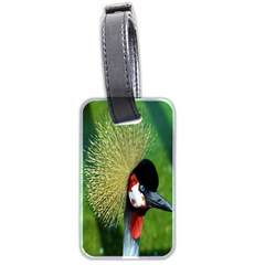 Bird Hairstyle Animals Sexy Beauty Luggage Tags (two Sides)