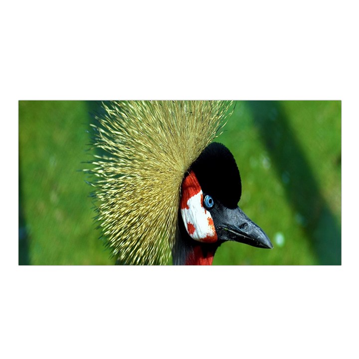 Bird Hairstyle Animals Sexy Beauty Satin Shawl