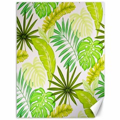 Amazon Forest Natural Green Yellow Leaf Canvas 36  X 48   by Mariart