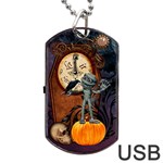 Funny Mummy With Skulls, Crow And Pumpkin Dog Tag USB Flash (Two Sides) Front