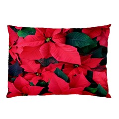 Red Poinsettia Flower Pillow Case (two Sides) by Mariart