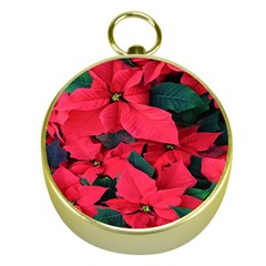 Red Poinsettia Flower Gold Compasses by Mariart