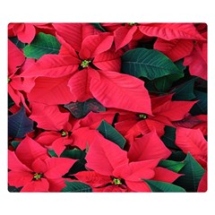 Red Poinsettia Flower Double Sided Flano Blanket (small)  by Mariart