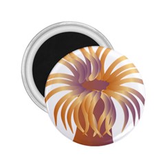 Sea Anemone 2 25  Magnets