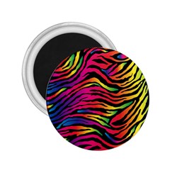 Rainbow Zebra 2 25  Magnets