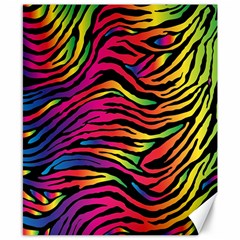 Rainbow Zebra Canvas 8  X 10 