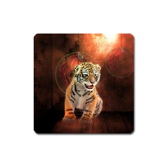 Cute Little Tiger Baby Square Magnet by FantasyWorld7