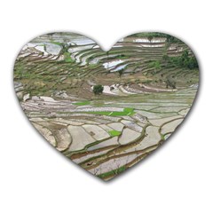 Rice Fields Terraced Terrace Heart Mousepads by Nexatart