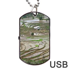 Rice Fields Terraced Terrace Dog Tag Usb Flash (one Side) by Nexatart