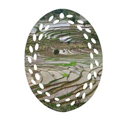 Rice Fields Terraced Terrace Oval Filigree Ornament (two Sides) by Nexatart