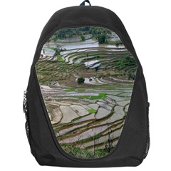 Rice Fields Terraced Terrace Backpack Bag by Nexatart