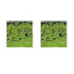 Greenery Paddy Fields Rice Crops Cufflinks (square) by Nexatart