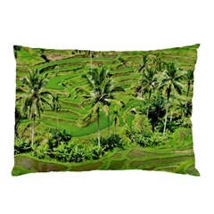 Greenery Paddy Fields Rice Crops Pillow Case by Nexatart