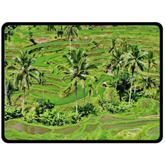 Greenery Paddy Fields Rice Crops Fleece Blanket (large)  by Nexatart