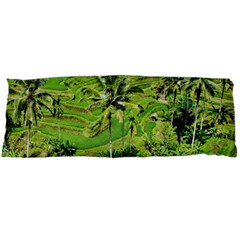 Greenery Paddy Fields Rice Crops Body Pillow Case Dakimakura (two Sides) by Nexatart