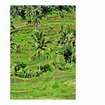 Greenery Paddy Fields Rice Crops Small Garden Flag (Two Sides) Front