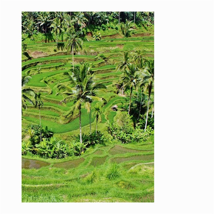 Greenery Paddy Fields Rice Crops Small Garden Flag (Two Sides)