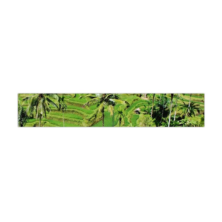 Greenery Paddy Fields Rice Crops Flano Scarf (Mini)