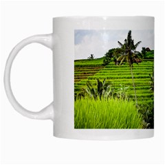 Bali Rice Terraces Landscape Rice White Mugs by Nexatart