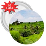 Bali Rice Terraces Landscape Rice 3  Buttons (10 pack)  Front