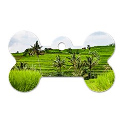 Bali Rice Terraces Landscape Rice Dog Tag Bone (two Sides) by Nexatart