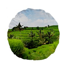 Bali Rice Terraces Landscape Rice Standard 15  Premium Round Cushions