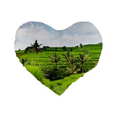 Bali Rice Terraces Landscape Rice Standard 16  Premium Heart Shape Cushions