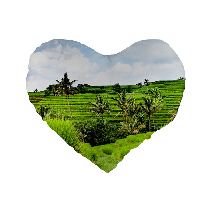 Bali Rice Terraces Landscape Rice Standard 16  Premium Heart Shape Cushions