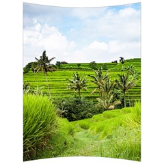 Bali Rice Terraces Landscape Rice Back Support Cushion by Nexatart