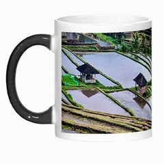 Rice Terrace Rice Fields Morph Mugs by Nexatart