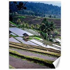Rice Terrace Rice Fields Canvas 12  X 16   by Nexatart