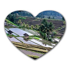 Rice Terrace Rice Fields Heart Mousepads by Nexatart