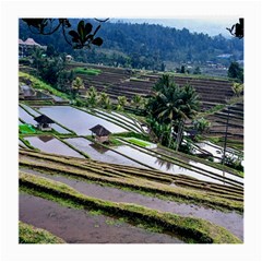 Rice Terrace Rice Fields Medium Glasses Cloth (2-side) by Nexatart