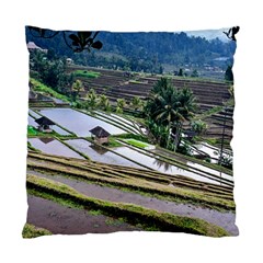 Rice Terrace Rice Fields Standard Cushion Case (two Sides) by Nexatart