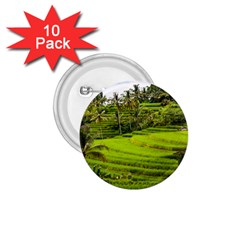 Rice Terrace Terraces 1 75  Buttons (10 Pack) by Nexatart