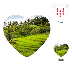 Rice Terrace Terraces Playing Cards (heart)  by Nexatart