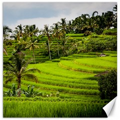 Rice Terrace Terraces Canvas 20  X 20   by Nexatart