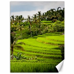 Rice Terrace Terraces Canvas 36  X 48   by Nexatart