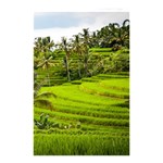 Rice Terrace Terraces Shower Curtain 48  x 72  (Small)  Curtain(48  X 72 ) - 42.18 x64.8  Curtain(48  X 72 )