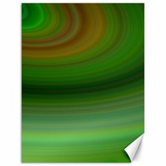 Green Background Elliptical Canvas 12  x 16  