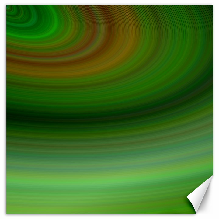 Green Background Elliptical Canvas 20  x 20  