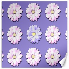 Daisy Flowers Wild Flowers Bloom Canvas 16  X 16   by Nexatart