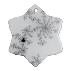 Mandelbrot Apple Males Mathematics Ornament (snowflake) by Nexatart