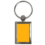 Pale Pumpkin Orange Creepy Hollow Halloween  Key Chains (Rectangle)  Front