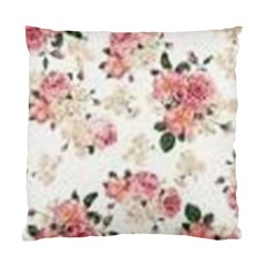 Downloadv Standard Cushion Case (two Sides) by MaryIllustrations