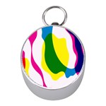 Anatomicalrainbow Wave Chevron Pink Blue Yellow Green Mini Silver Compasses Front